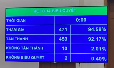 Không quy định thành lập cơ quan thanh tra tại Cục thuộc Tổng cục theo ngành dọc