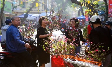 Hà Nội: Chuẩn bị tốt nhất các điều kiện phục vụ nhân dân đón Tết Nguyên đán 2023