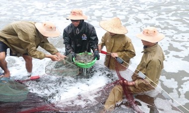 Doanh nghiệp sản xuất trải lòng với Thống đốc Ngân hàng Nhà nước vì khó tiếp cận vốn vay