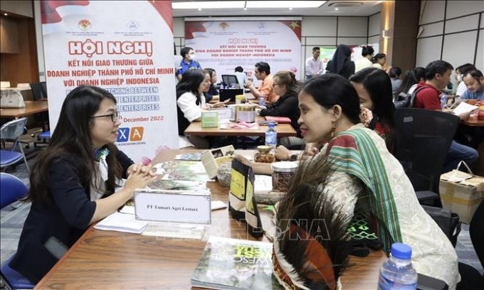 Việt Nam - Indonesia: Cùng hợp tác để trở thành các đầu tàu kinh tế trong khu vực