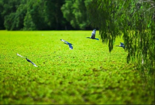 Tầm tư duy thấu cảm của nhà đầu tư đã biến những vùng đất heo hút ở Bảy Núi anh hùng trở thành làng du lịch sinh thái với chuỗi cảnh sắc đẹp như tranh.