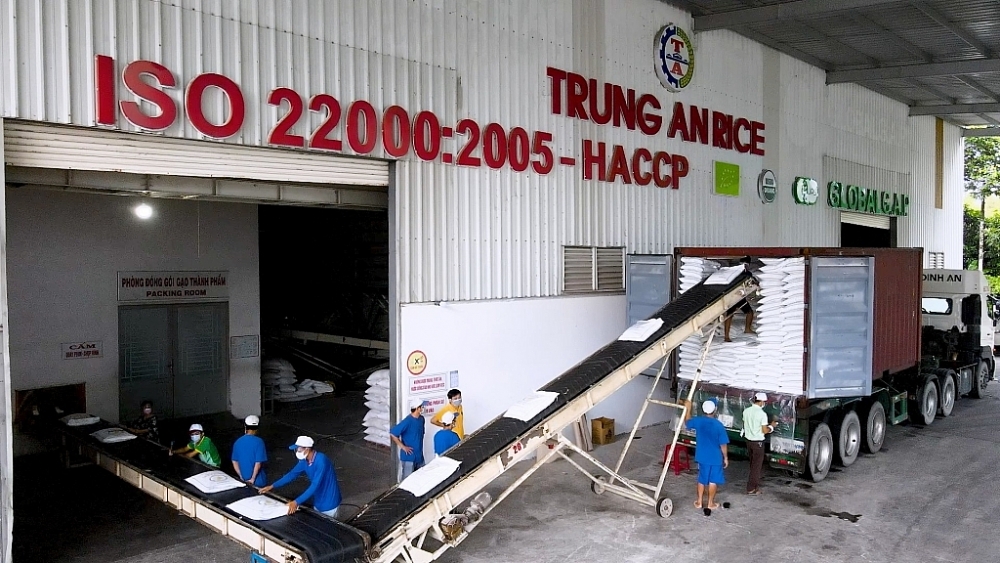 Trung An (TAR): Quý IV, doanh thu tăng cao, lợi nhuận giảm mạnh