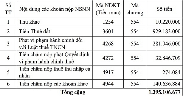 Chi tiết số tiền Công ty Hà Nội Non Nước bị cưỡng chế