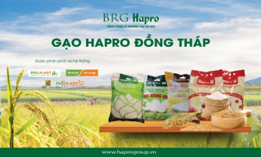 Gạo Hapro Đồng Tháp – Tự hào thương hiệu quốc gia