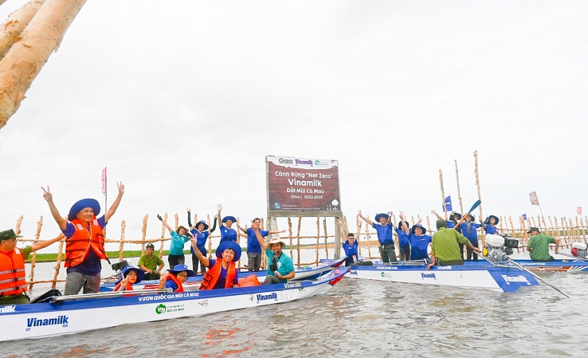 Khu vực khoanh nuôi tái sinh rừng ngập mặn có diện tích 25ha do Vinamilk, Gaia chung tay thực hiện tại Vườn Quốc gia Mũi Cà Mau