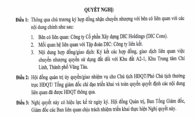 DIC Corp (DIG) nhận chuyển nhượng khu đất tại Vũng Tàu từ công ty liên kết với giá 50 triệu đồng/m2