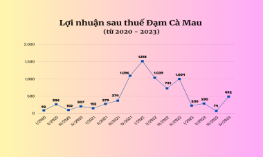 "Bỏ túi" 1.100 tỷ đồng sau một năm, Đạm Cà Mau mạnh tay "bơm tiền" dự án tại Bình Định