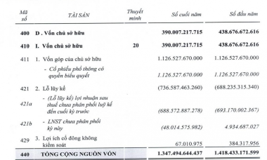 Thuduc House (TDH) báo lỗ ròng gần 50 tỷ trong năm 2023, phải trích lập dự phòng hàng chục tỷ đồng cho đầu tư chứng khoán