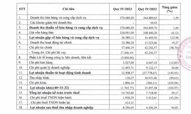 Quý IV khởi sắc, Damsan (ADS) báo lãi quý IV tăng gấp đôi