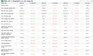 Lợi nhuận tăng trưởng 170%, IDICO chuẩn bị mở rộng thêm 2.200 ha đất KCN