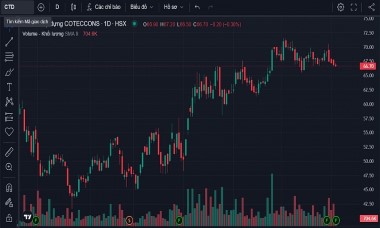 Doanh thu tăng bằng lần, Coteccons (CTD) "dính" nợ xấu liên quan tới Tân Hoàng Minh