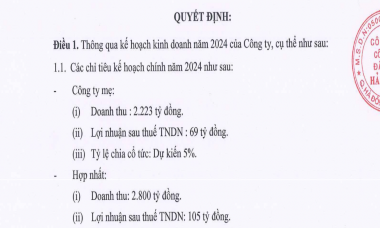 Muốn lập đỉnh doanh thu trong năm 2024, Hải Phát Invest (HPX) vẫn dự kiến lợi nhuận “đi lùi”