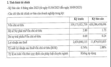 Neo Floor tiếp tục gia hạn thành công trái phiếu