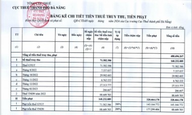 Một doanh nghiệp trúng nhiều gói thầu môi trường ở Đà Nẵng bị phạt vì trốn thuế