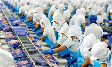 Vĩnh Hoàn (VHC) ghi nhận doanh thu tháng 2/2024 tăng 6%, lên 801 tỷ đồng