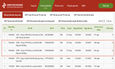 Hé mở Bất động sản Hải Đăng - doanh nghiệp vừa “hút” 2.500 tỷ đồng trái phiếu chỉ trong một ngày