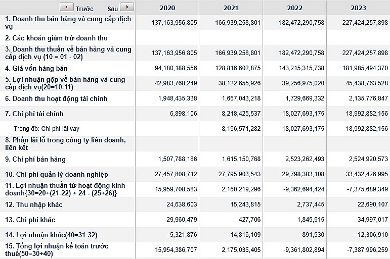 Doanh thu tăng trưởng đều trong giai đoạn 2020 - 2024 tuy nhiên giá vốn và các chi phí tăng vọt đã thổi bay lợi nhuận của Cảng Chân Mây