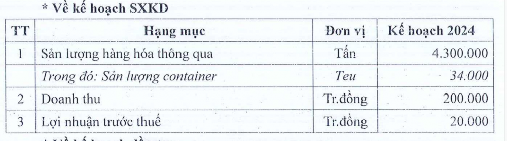 Cảng Nghệ Tĩnh (NAP) dự kiến trả cổ tức thấp hơn so với các năm dù kinh doanh bứt phá