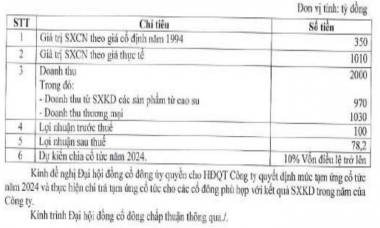 Công ty của đại gia “Sơn Xay Xát” tham vọng lợi nhuận trăm tỷ trong năm 2024, dự kiến tăng vốn điều lệ sau 8 năm