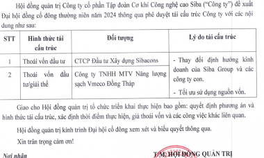 Siba Group dự kiến giải thể công ty Năng lượng sạch Vmeco Đồng Tháp