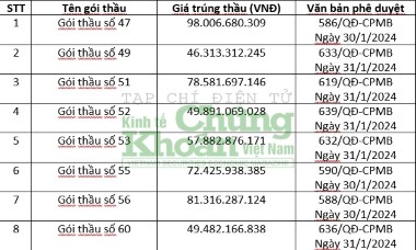 Trong vài ngày, Cơ điện Miền Trung (CJC) trúng 10 gói thầu tại một chủ đầu tư