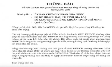 Điện Gia Lai gia hạn thời gian tổ chức ĐHĐCĐ thường niên 2024