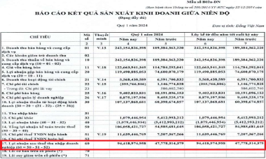 Cảng Xanh Vip (VGR) báo lãi tăng gấp đôi cùng kỳ, tiền nắm giữ "đột biến" lên hơn 400 tỷ đồng