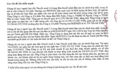 Xây dựng điện Việt Nam (VNE): Kinh doanh thua lỗ, kiểm toán nghi ngờ khả năng hoạt động liên tục