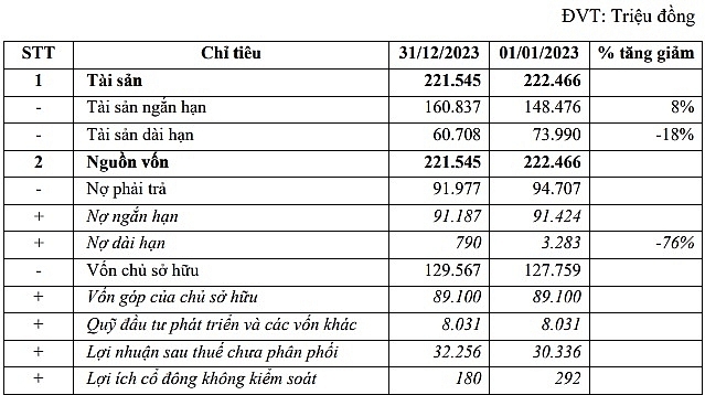 Bức tranh tài chính của Din Capital