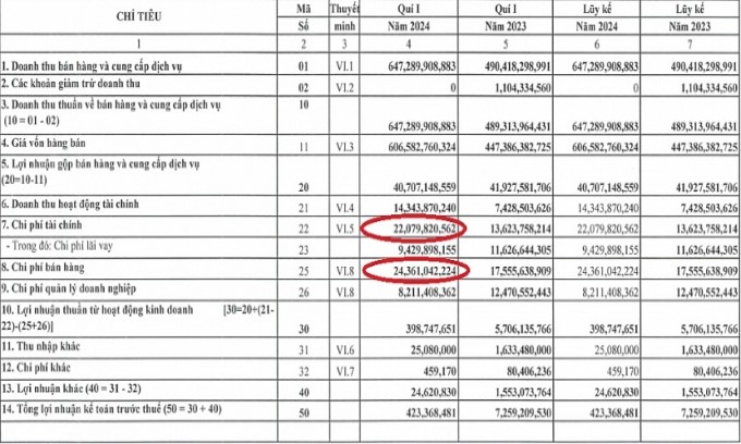 Thủy sản và Thương mại Thuận Phước bất ngờ giảm lãi 95% dù doanh thu tăng hàng trăm tỷ