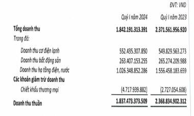 Doanh thu, lợi nhuận Cơ điện lạnh (REE) “lao dốc” trong quý 1/2024