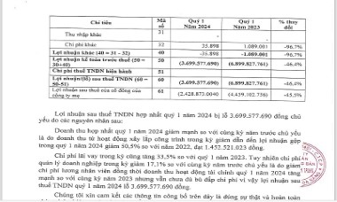 Bất động sản Điện lực Miền Trung: Kinh doanh thua lỗ, cổ phiếu bị kiểm soát