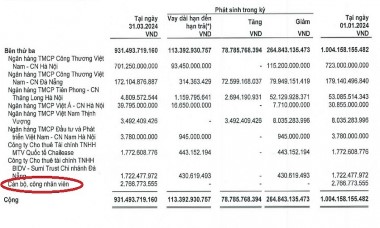 ‘Vua đào hầm’ Đèo Cả: Gánh nợ gần 1,1 tỷ USD, mỗi ngày ‘còng lưng’ trả 2,3 tỷ đồng tiền lãi