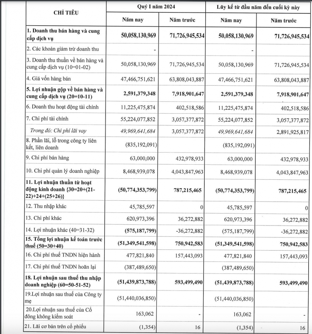 Áp lực chi phí lãi vay, Vinahud báo lỗ hơn 50 tỷ đồng trong ba tháng đầu năm 2024