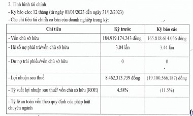 Sở hữu dự án 10.000 tỷ, Apec Land Huế báo lỗ đậm