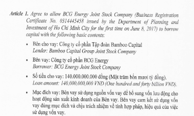 Rục rịch chào UPCoM, BCG Energy muốn vay công ty mẹ nhằm bổ sung nguồn vốn