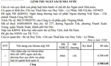 Giày Thượng Đình từ thương hiệu vàng son đến kinh doanh bết bát, nợ thuế