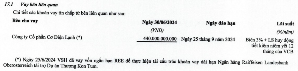 Thuỷ điện Vĩnh Sơn - Sông Hinh: Lợi nhuận 6 tháng lao dốc 90,7%, phải đóng lãi hơn 800 triệu mỗi ngày