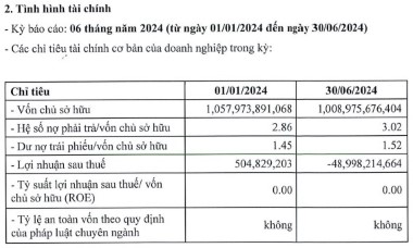 Thương mại và Dịch vụ Danh Việt báo lỗ đột biến, phải xoay xở hơn 4.500 tỷ đồng đáo hạn 8 lô trái phiếu trong tháng 8