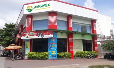 Angimex đối mặt thách thức: Lỗ lũy kế lên đến gần 260 tỷ đồng