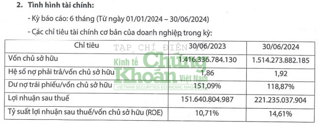 Điện Mặt Trời Trung Nam báo lãi lớn sau khi đổi chủ