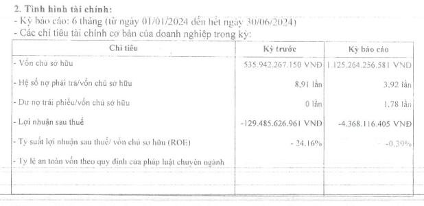 Gánh khối nợ hơn 4.400 tỷ đồng, Tân Liên Phát Tân Cảng lại báo lỗ bán niên 2024 hơn 4 tỷ đồng